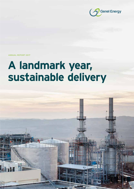 A Landmark Year, Sustainable Delivery