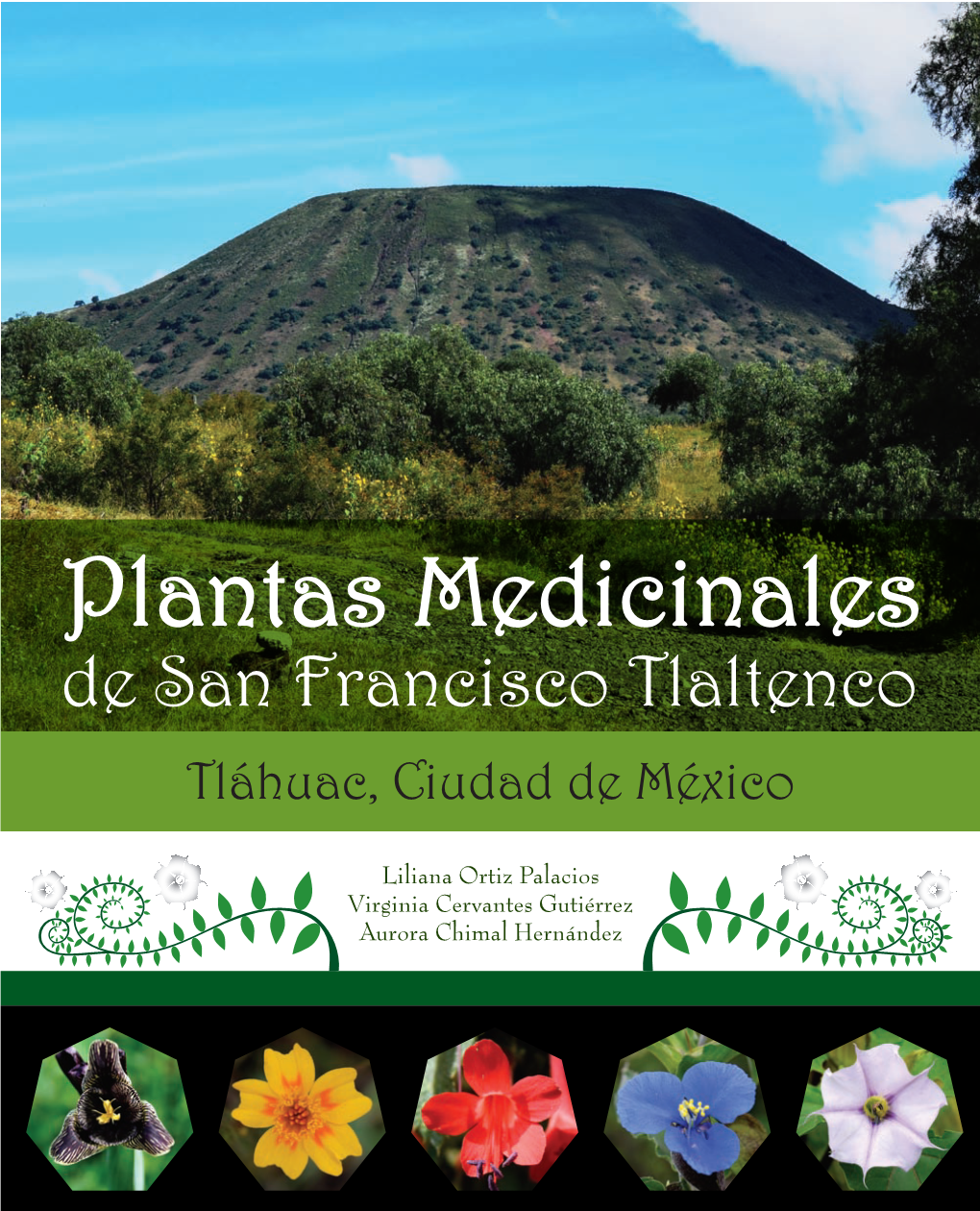 Plantas Medicinales De San Francisco Tlaltenco Tláhuac, Ciudad De México