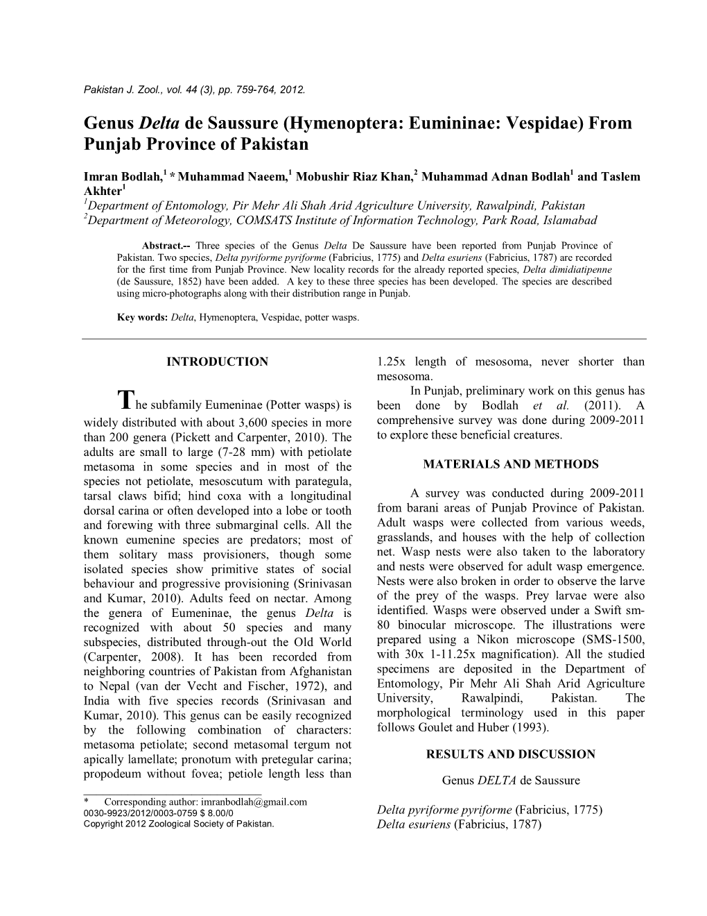 Genus Delta De Saussure (Hymenoptera: Eumininae: Vespidae) from Punjab Province of Pakistan