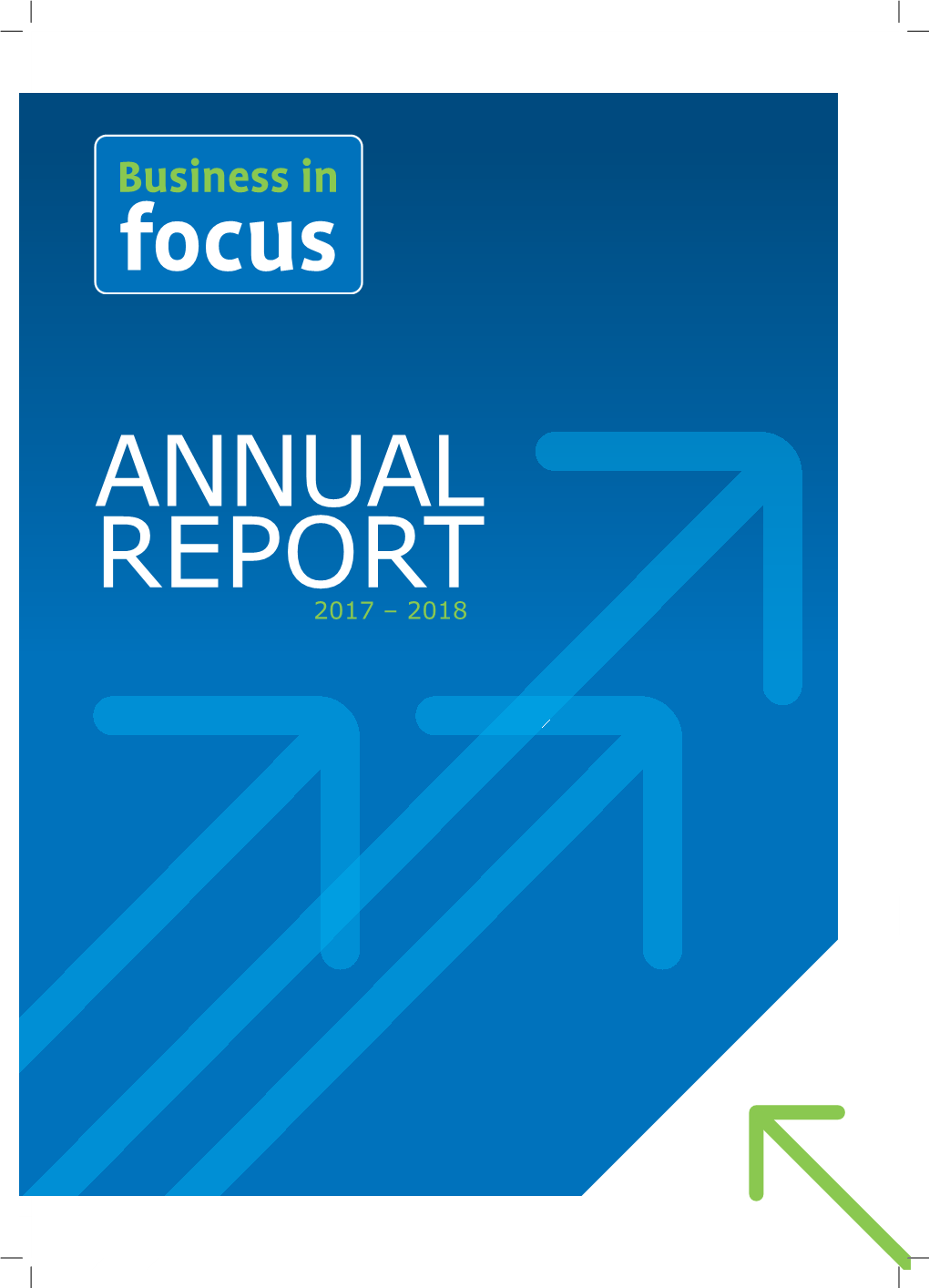 Business in Focus Annual Report 2018 English.Indd