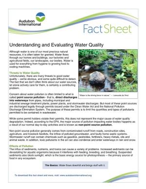 Understanding and Evaluating Water Quality