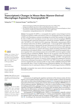 Transcriptomic Changes in Mouse Bone Marrow-Derived Macrophages Exposed to Neuropeptide FF