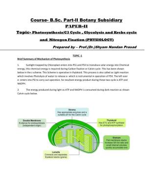 Course- B.Sc. Part-II Botany Subsidiary PAPER–II Topic- Photosynthesis/C3 Cycle , Glycolysis and Krebs Cycle