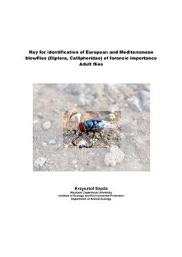 Key for Identification of European and Mediterranean Blowflies (Diptera, Calliphoridae) of Forensic Importance Adult Flies