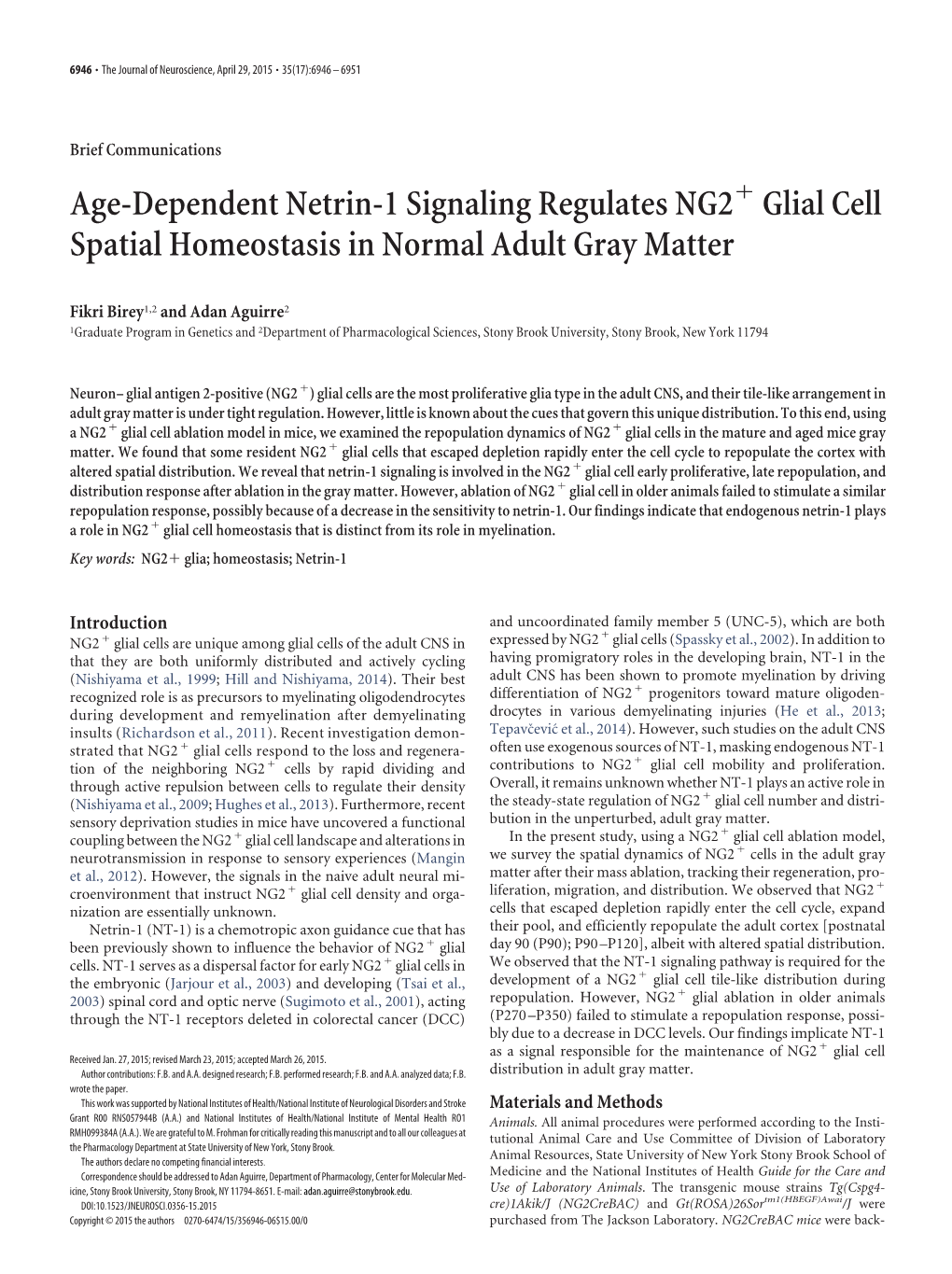 Age-Dependent Netrin-1 Signaling Regulates NG2 Glial Cell Spatial