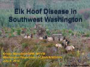 Elk Hoof Disease in Southwest Washington