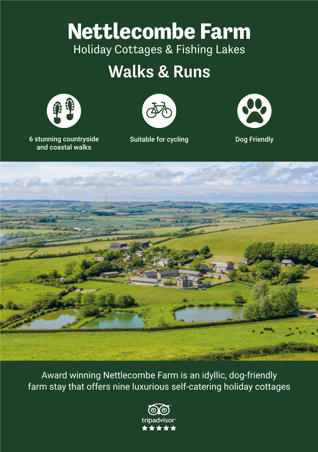 Our Walking Guide (PDF)