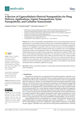 A Review of Lignocellulosic-Derived Nanoparticles for Drug Delivery Applications: Lignin Nanoparticles, Xylan Nanoparticles, and Cellulose Nanocrystals