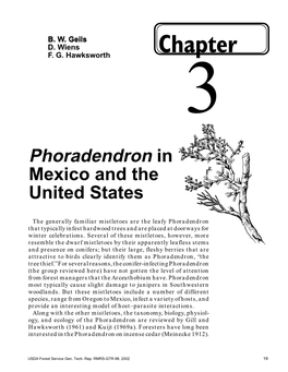 Phoradendron in Mexico and the United States