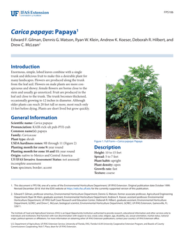 Carica Papaya: Papaya1 Edward F