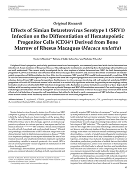 Effects of Simian Betaretrovirus Serotype 1 (SRV1) Infection on The