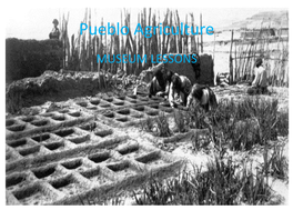 Pueblo Agriculture