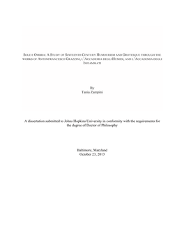 ZAMPINI-DISSERTATION-2013.Pdf