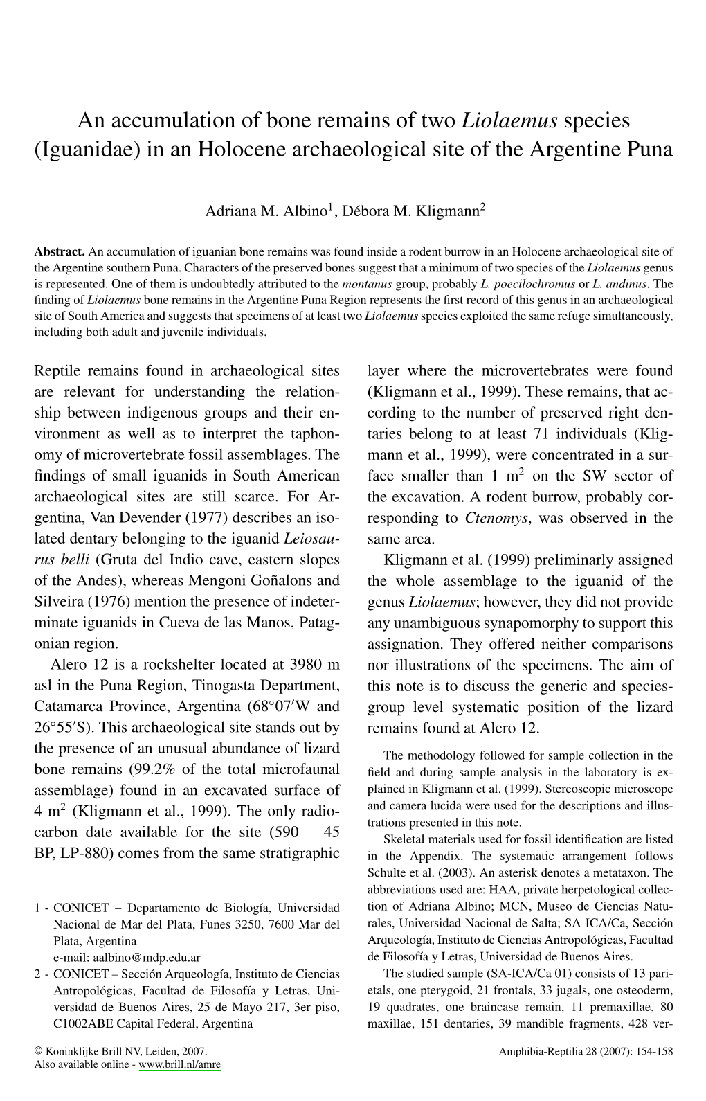 An Accumulation of Bone Remains of Two Liolaemus Species (Iguanidae) in an Holocene Archaeological Site of the Argentine Puna