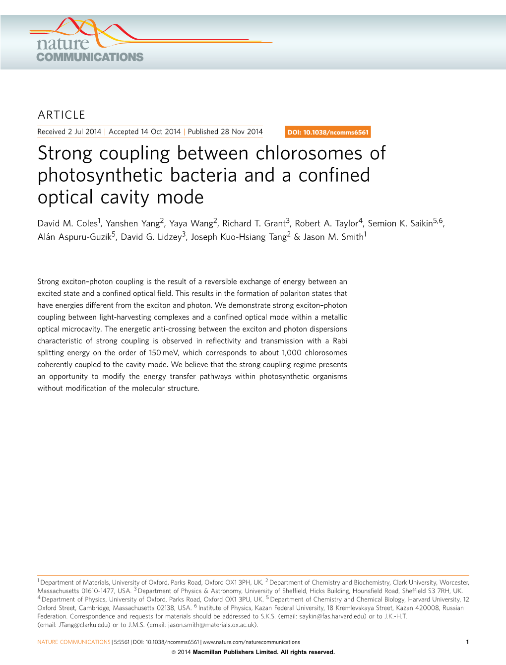 Strong Coupling Between Chlorosomes of Photosynthetic Bacteria and a Conﬁned Optical Cavity Mode