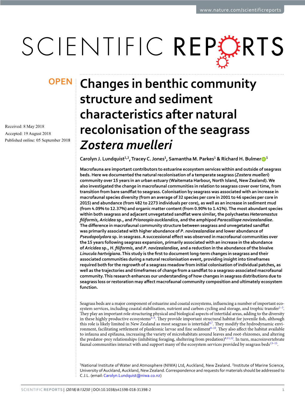 Changes in Benthic Community Structure and Sediment Characteristics After Natural Recolonisation of the Seagrass Zostera Mueller