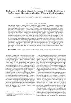 Evaluation of Hemlock (Tsuga) Species and Hybrids for Resistance to Adelges Tsugae (Hemiptera: Adelgidae) Using Artiﬁcial Infestation