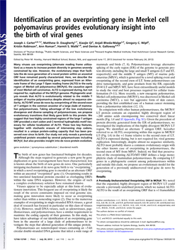 Identification of an Overprinting Gene in Merkel Cell Polyomavirus