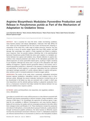 Arginine Biosynthesis Modulates Pyoverdine Production and Release in Pseudomonas Putida As Part of the Mechanism of Adaptation to Oxidative Stress
