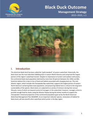 Black Duck Outcome Management Strategy 2015–2025, V.1