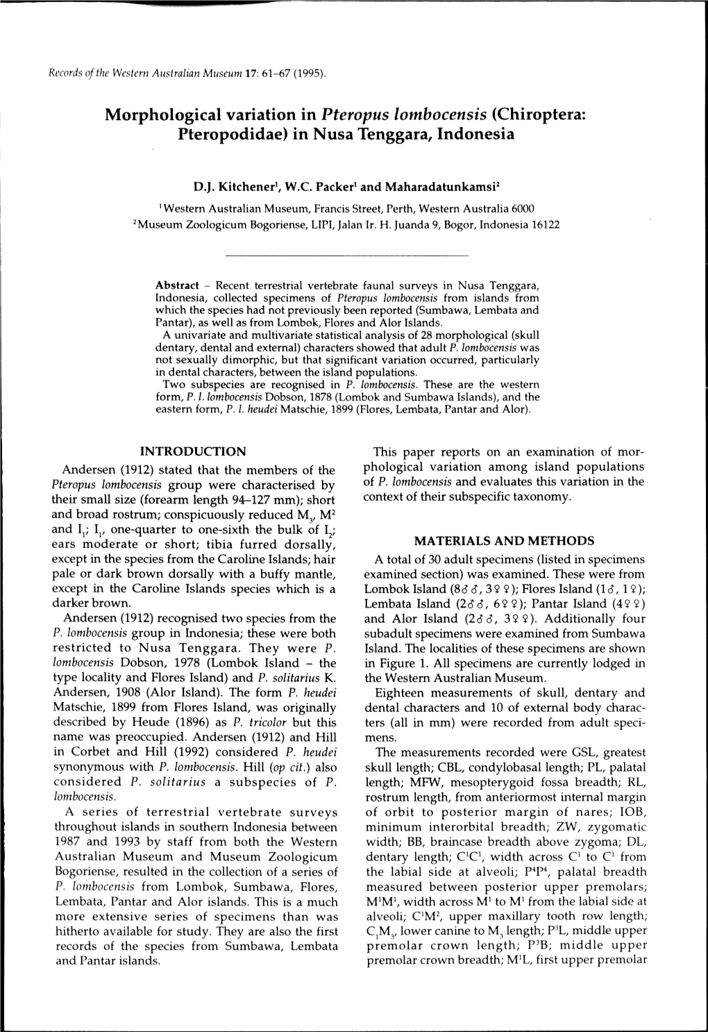 Morphological Variation in Pteropus Lombocensis (Chiroptera: Pteropodidae) in Nusa Tenggara, Indonesia