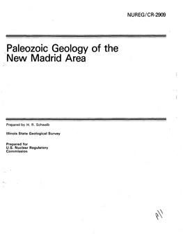 Paleozoic Geology of the New Madrid Area