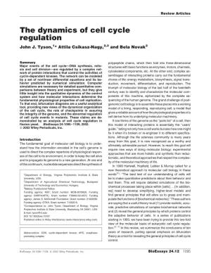 The Dynamics of Cell Cycle Regulation John J