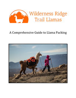 A Comprehensive Guide to Llama Packing