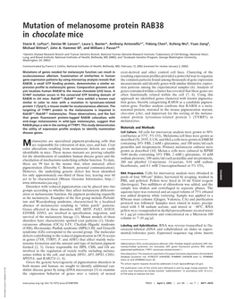 Mutation of Melanosome Protein RAB38 in Chocolate Mice