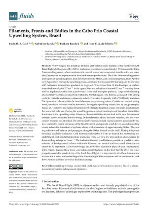 Filaments, Fronts and Eddies in the Cabo Frio Coastal Upwelling System, Brazil