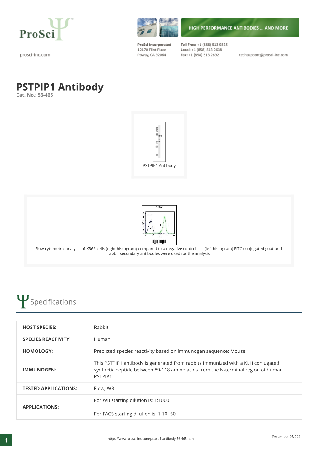 PSTPIP1 Antibody Cat