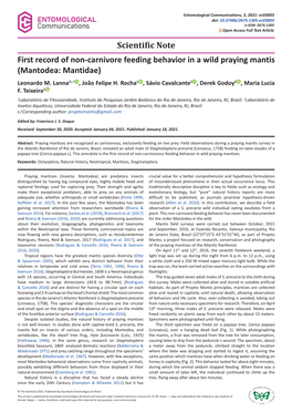 First Record of Non-Carnivore Feeding Behavior in a Wild Praying Mantis (Mantodea: Mantidae) Leonardo M