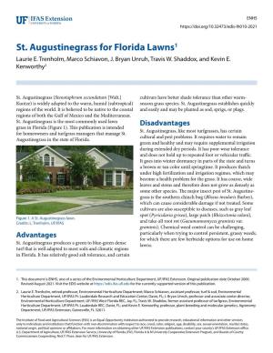 St. Augustinegrass for Florida Lawns1 Laurie E