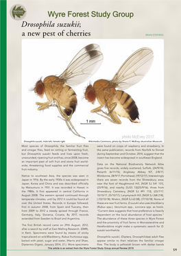 Drosophila Suzukii; a New Pest of Cherries Brian Stephens