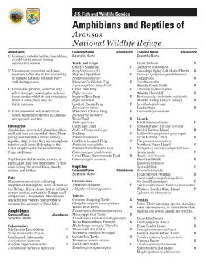 Amphibians and Reptiles Of