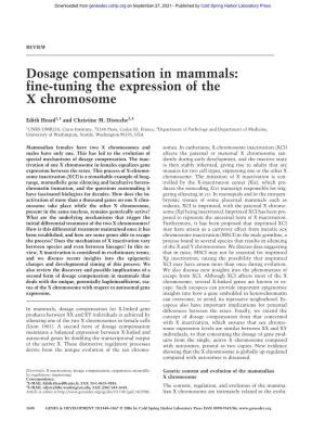 Dosage Compensation in Mammals: Fine-Tuning the Expression of the X Chromosome
