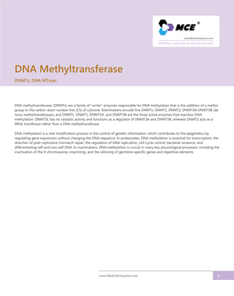 DNA Methyltransferase Dnmts; DNA Mtases