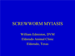 Screwworm Myiasis