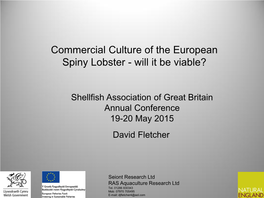 Commercial Culture of the European Spiny Lobster - Will It Be Viable?