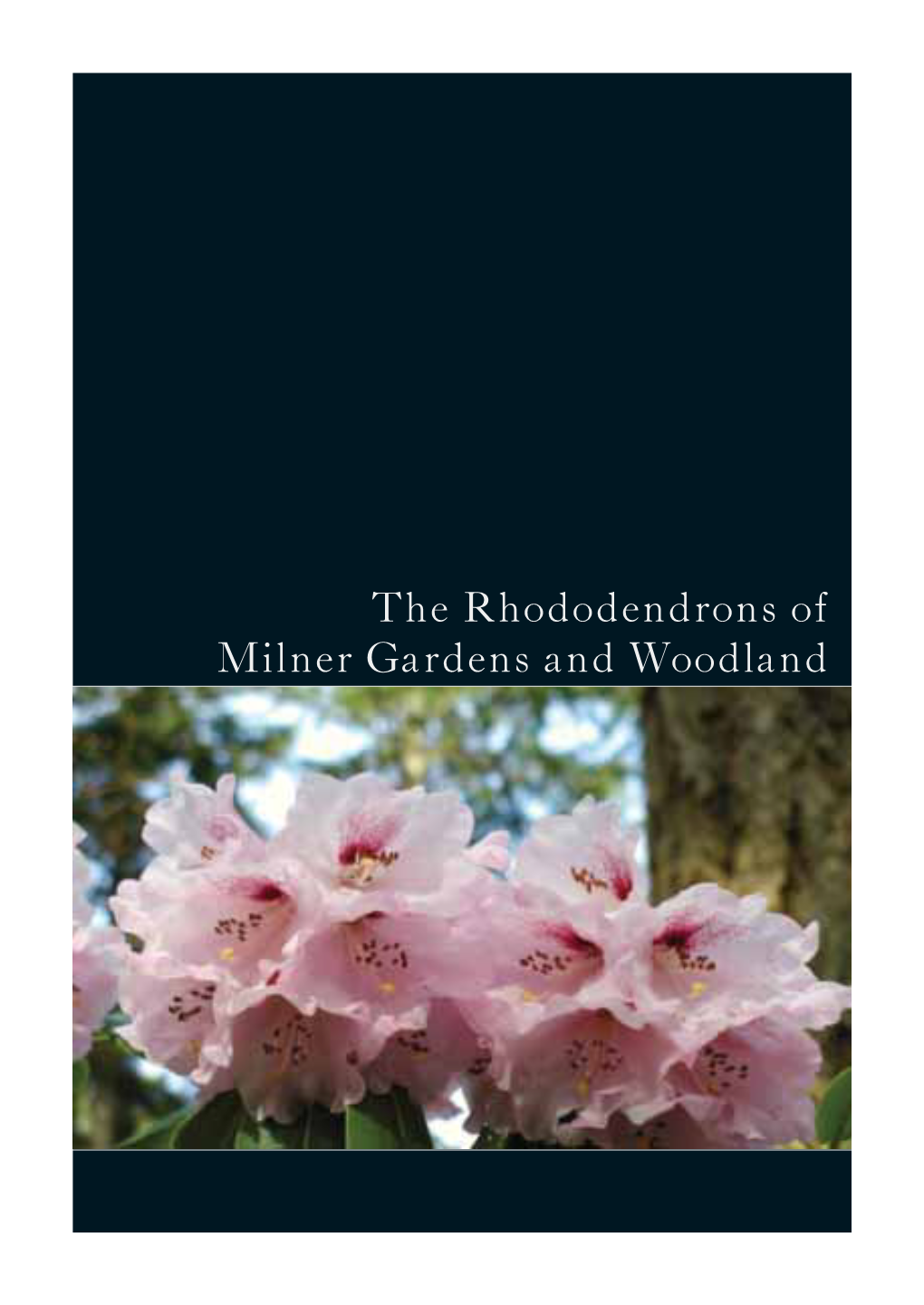 The Rhododendrons of Milner Gardens and Woodland