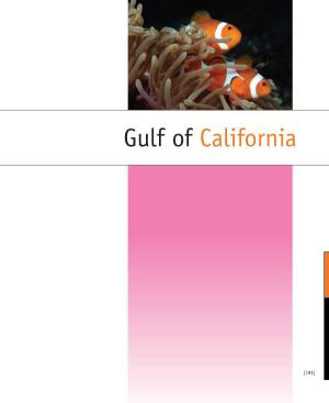 Gulf of California Ocean and Climate Changes
