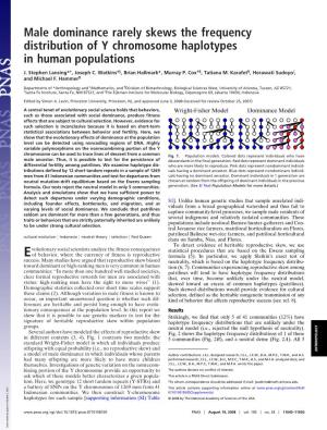 Male Dominance Rarely Skews the Frequency Distribution of Y Chromosome Haplotypes in Human Populations
