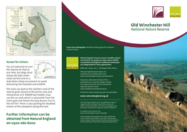 Old Winchester Hill National Nature Reserve