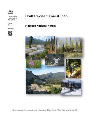 Draft Revised Forest Plan for the Flathead National Forest