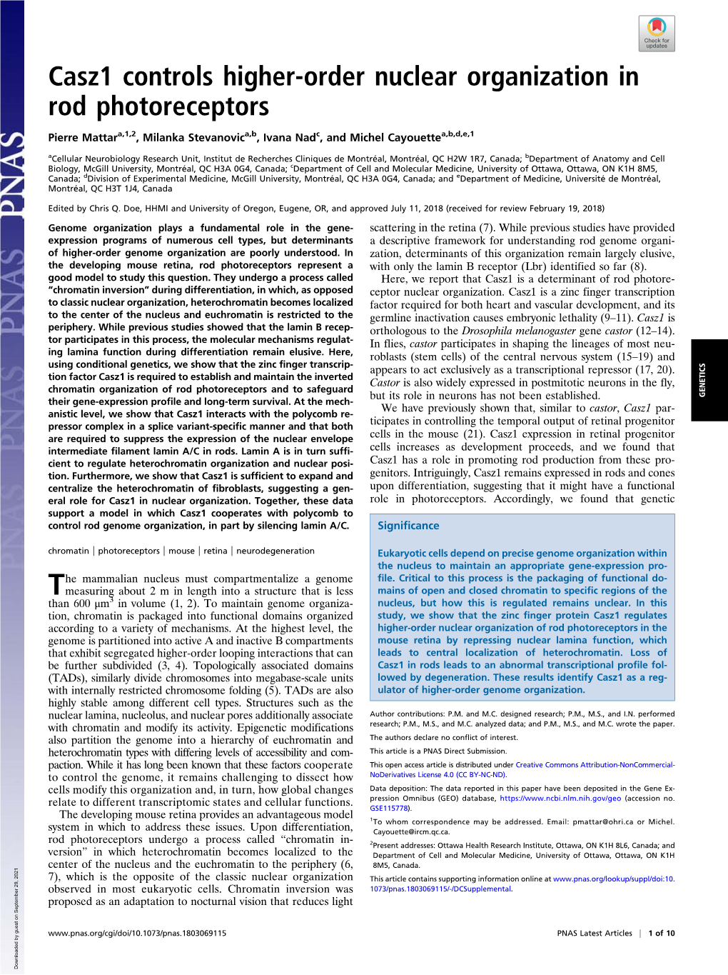 Casz1 Controls Higher-Order Nuclear Organization in Rod Photoreceptors