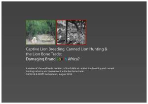 Captive Lion Breeding, Canned Lion Hunting & the Lion Bone Trade