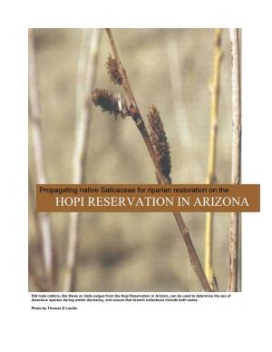Hopi Reservation in Arizona