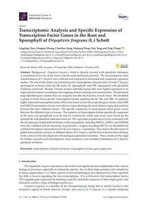 Transcriptomic Analysis and Specific Expression of Transcription Factor
