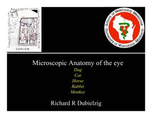 Microscopic Anatomy of the Eye Dog Cat Horse Rabbit Monkey Richard R Dubielzig Mammalian Globes Mammalian Phylogeny General Anatomy Dog