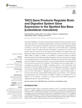 TAC3 Gene Products Regulate Brain and Digestive System Gene Expression in the Spotted Sea Bass (Lateolabrax Maculatus)